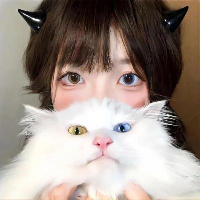 守护解放西第四季