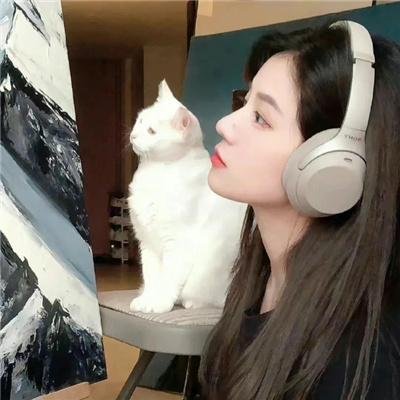 毛毛虫波罗
